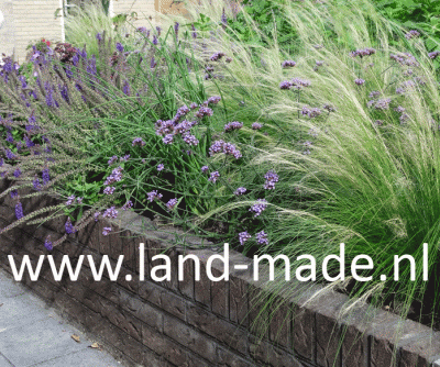 tuinontwerp Landmade Audrey Coert verhoogde border grassen
